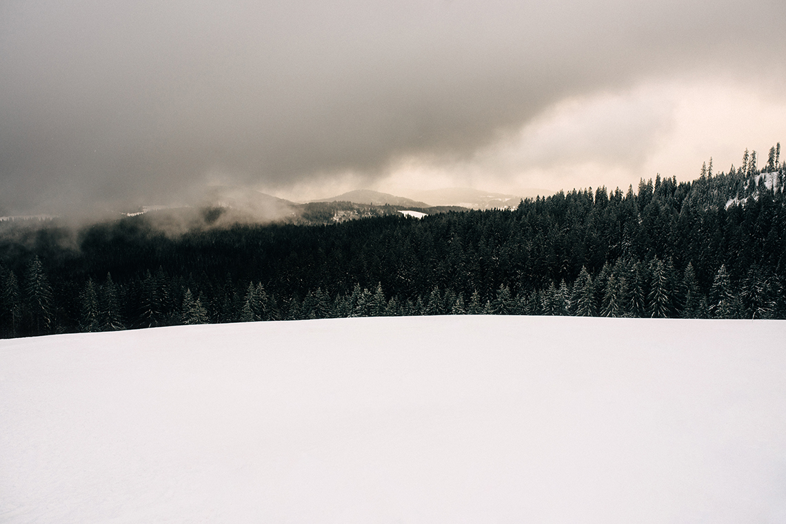 Black Forest Isabell Steinert Fotografie