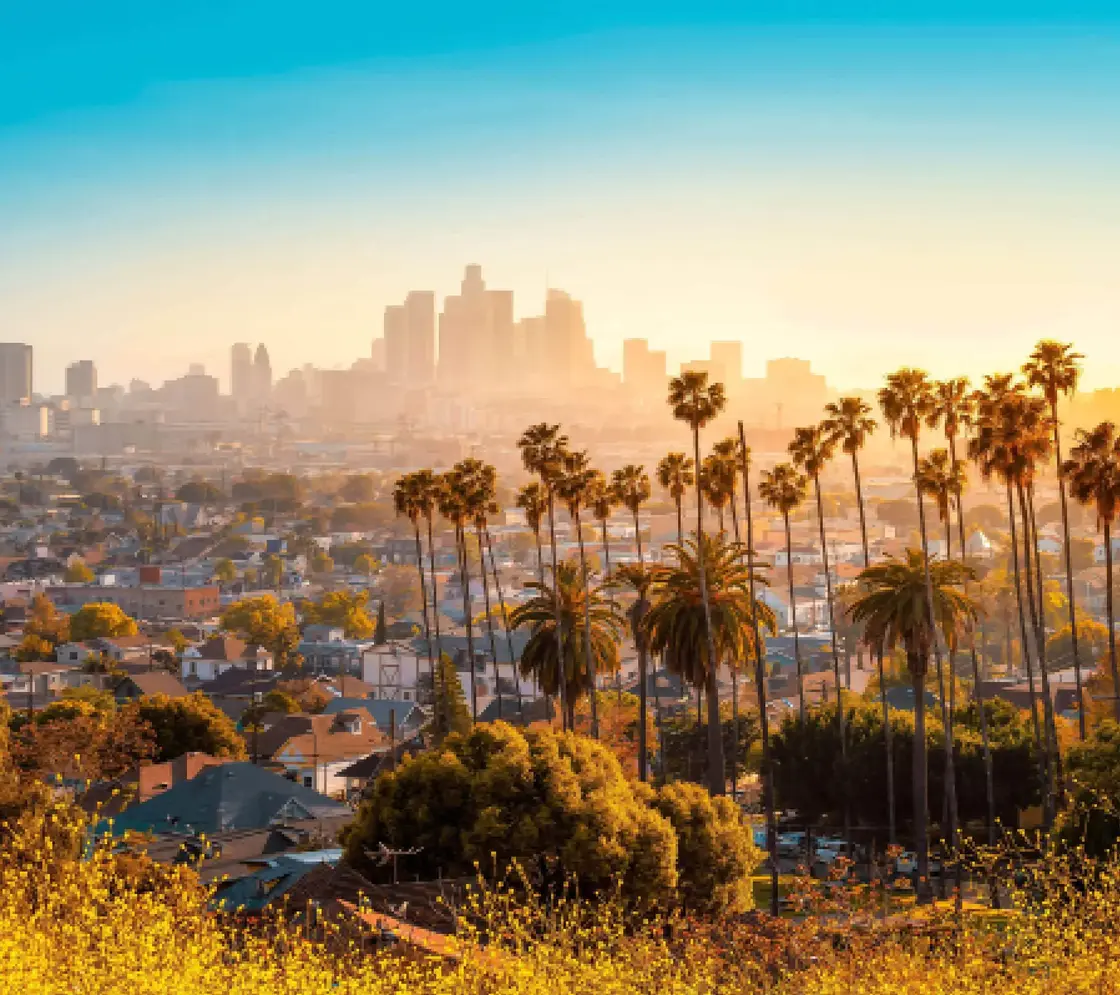 Cityscape with palm trees and high-rise buildings in Los Angeles under warm sunlight – contrast of urban architecture and nature