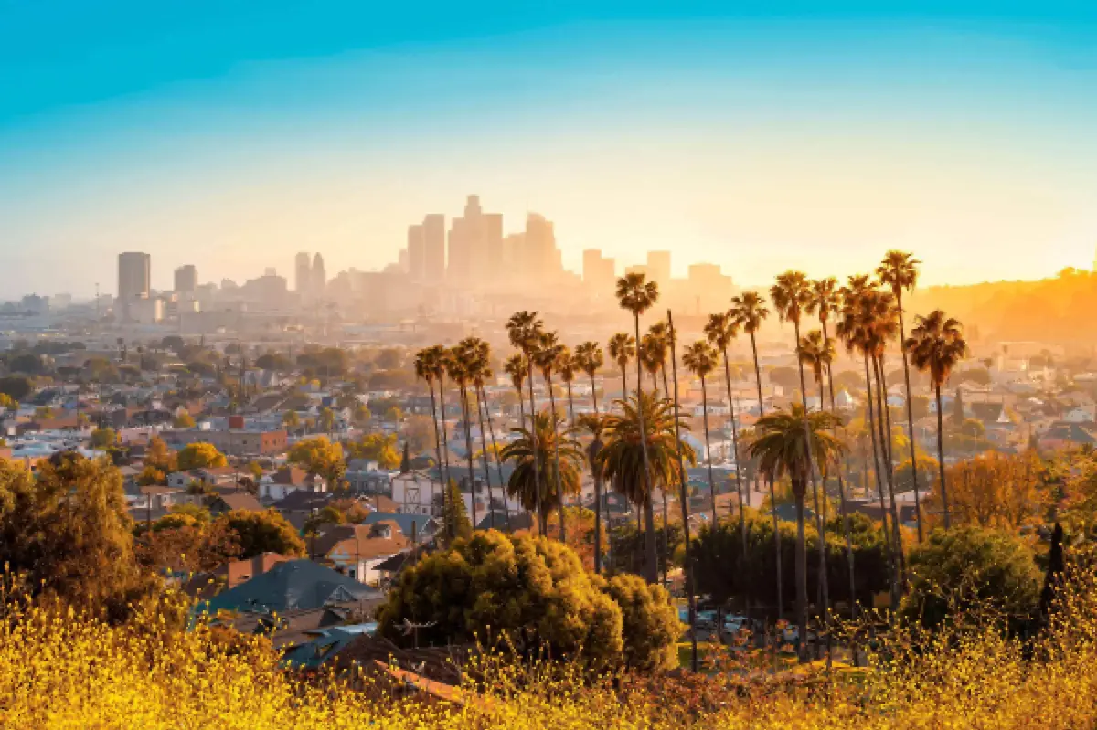 Cityscape with palm trees and high-rise buildings in Los Angeles under warm sunlight – contrast of urban architecture and nature
