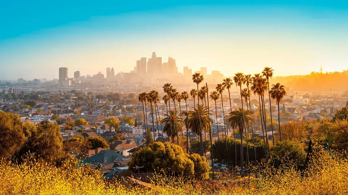 Cityscape with palm trees and high-rise buildings in Los Angeles under warm sunlight – contrast of urban architecture and nature