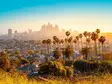 Cityscape with palm trees and high-rise buildings in Los Angeles under warm sunlight – contrast of urban architecture and nature