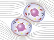 Microscopic view of two cells with visible nuclei and organelles – surrounded by lines indicating fluid movement or cellular dynamics