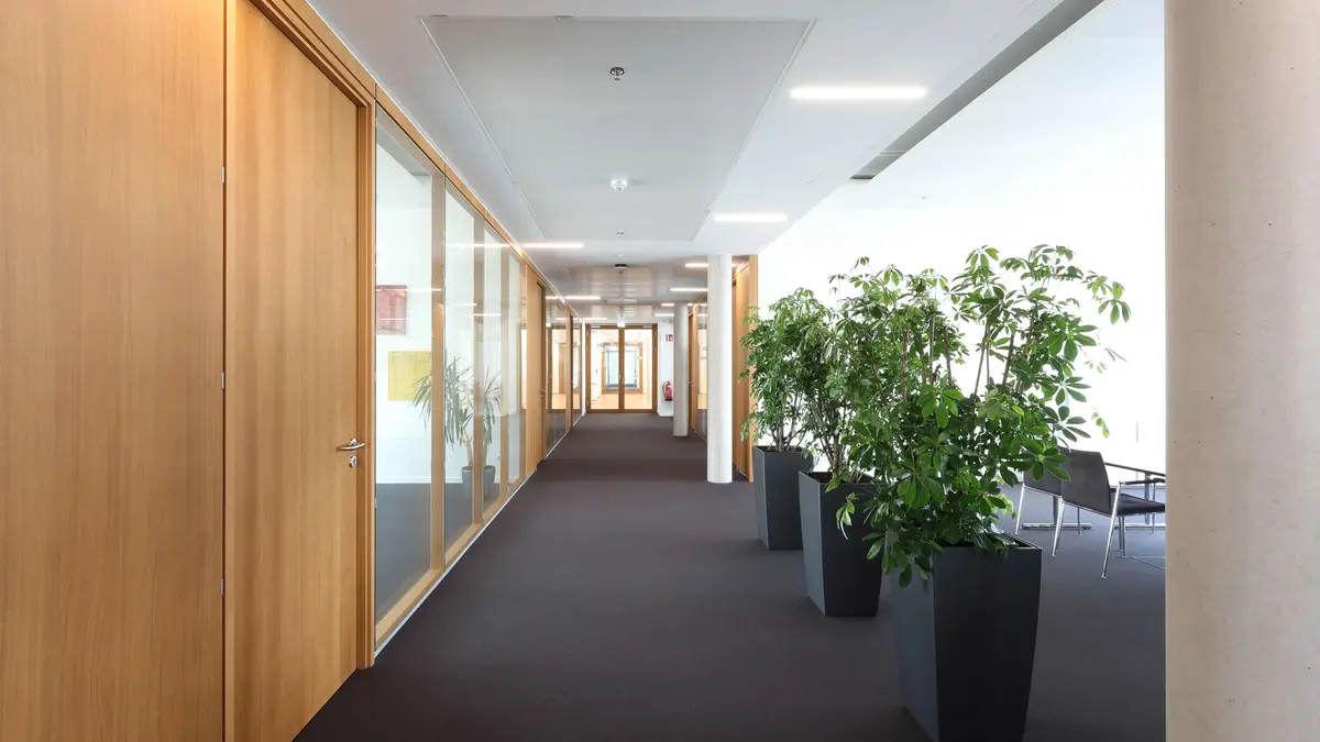 © Kiefer und Sohn GmbH Heller Büroflur mit Glastüren, Holzelementen und großen Pflanzen in schwarzen Kübeln.